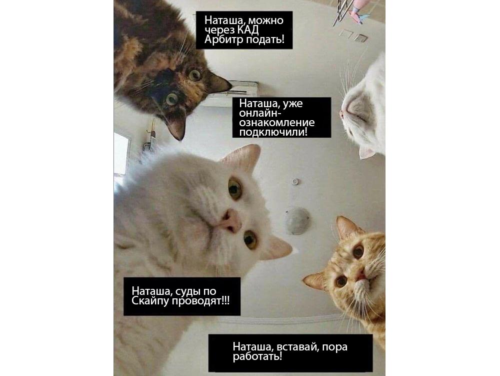 Настало время взбодриться.