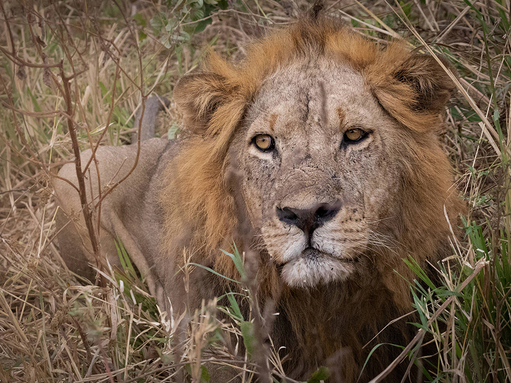 Танзания, 2020 год <br />Фото: Роман Бевзенко<br>