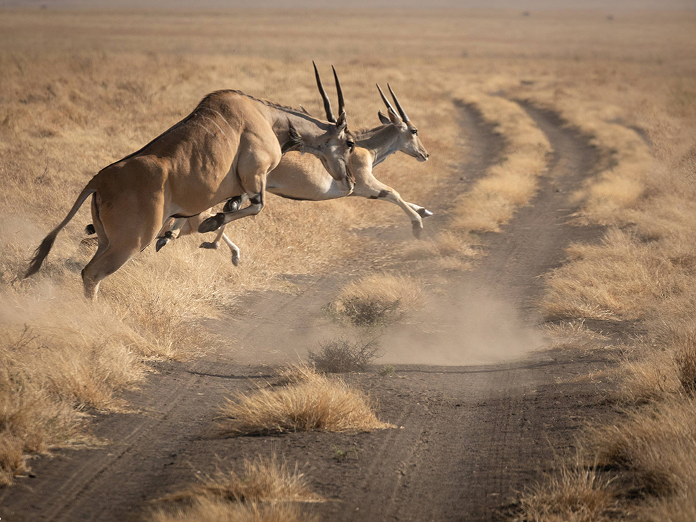 Танзания, 2020 год <br />Фото: Роман Бевзенко<br>