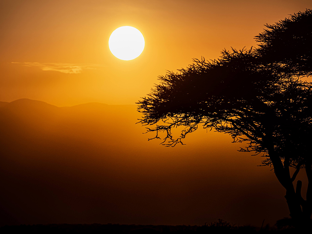 Танзания, 2020 год <br />Фото: Роман Бевзенко<br>