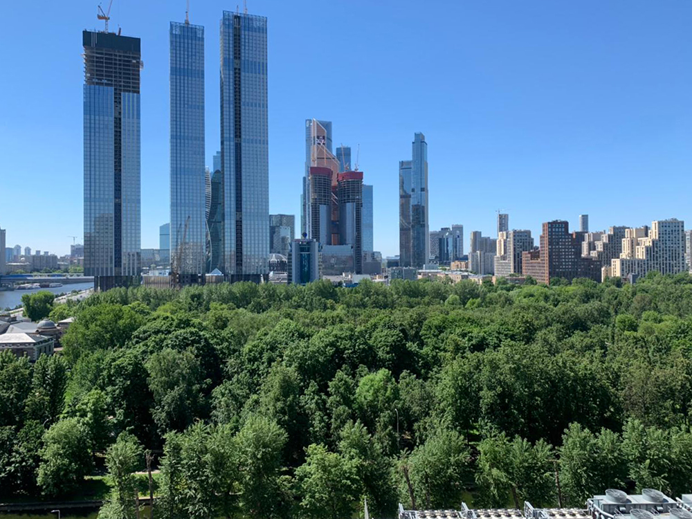 вид из офиса Забейда и партнеры