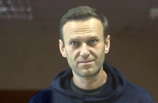 Навального, Соболь, Албурова и других внесли в реестр террористов и экстремистов / Снимок с видео/Пресс-служба Бабушкинского суда/ТАСС