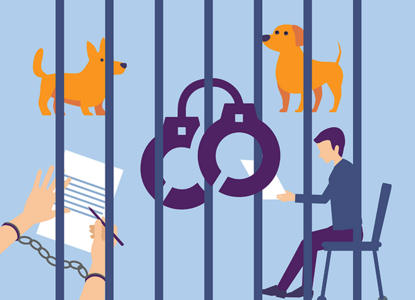 Собаки для колонии и оплата для адвоката: уголовные истории из ВС