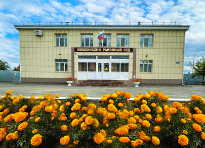 Мишкинский районный суд Курганской области