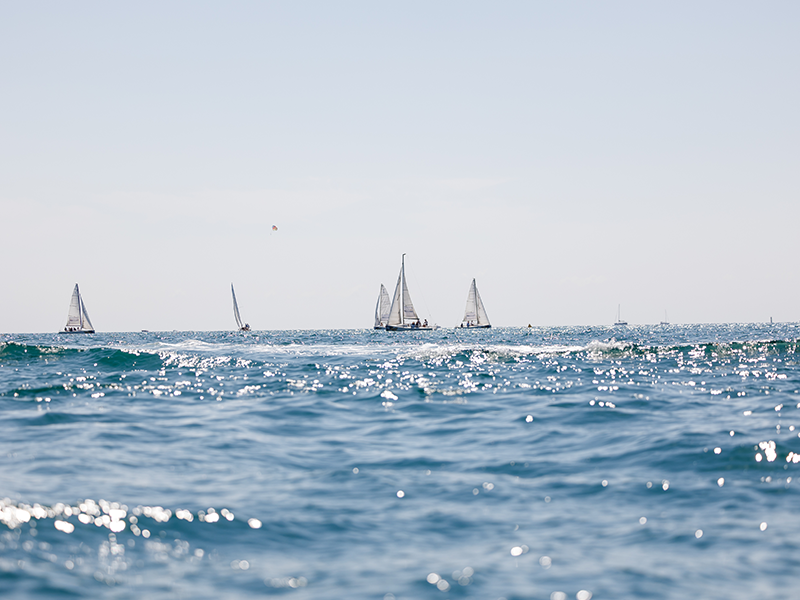 Заключительный аккорд сочинского юрфорума — море, паруса и чувство открывающихся горизонтов.