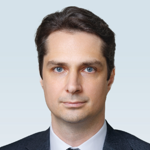 Риски инвестиций в страны БРИКС+