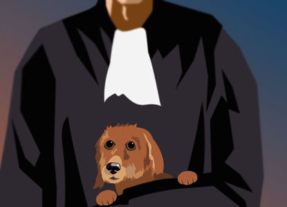 ВС одобрил уголовное преследование судьи за розыск собаки