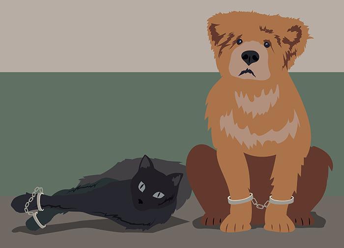 Звери за решеткой: когда и почему арестовывают животных