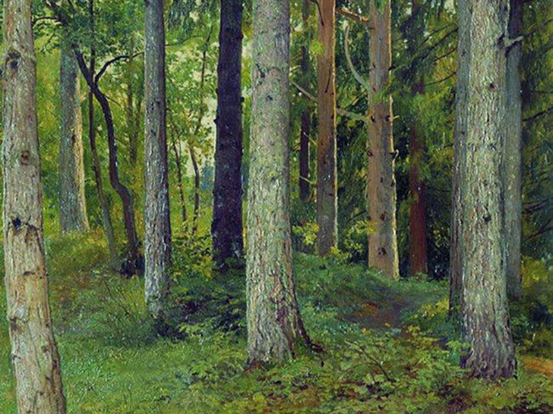 Иван Шишкин «Лес.Ели» (Вязниковский историко-художественный музей). В 2013 году трое неизвестных в масках связали музейного сторожа и похитили картины «Лес.Ели» Ивана Шишкина, «Рыболов» Константина Коровина и «Первый снег» Станислава Жуковского общей стоимостью 217 млн руб. Спустя четыре года «Лес.Ели» изъяли сотрудники белорусского наркоконтроля: ее перевозили вместе с крупной партией наркотиков. По некоторым данным, картину «Первый снег» воры выбросили, а «Рыболова» продали в Москве.